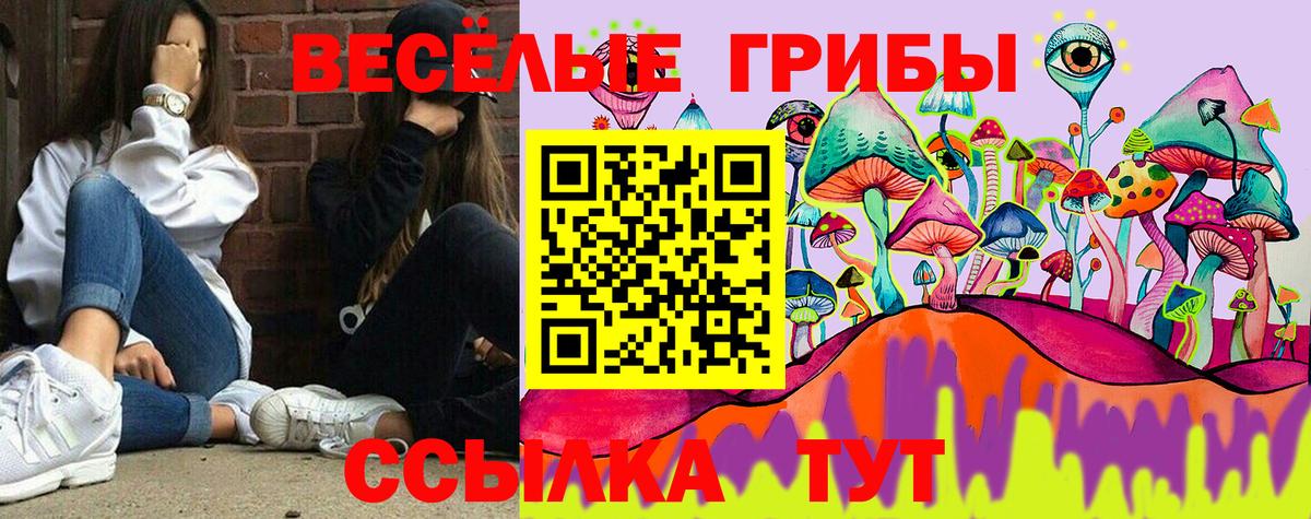 Видное  Галлюциногенные грибы прущие грибы  Вход с VPN  Псилоцибиновые грибы Magic Shrooms 