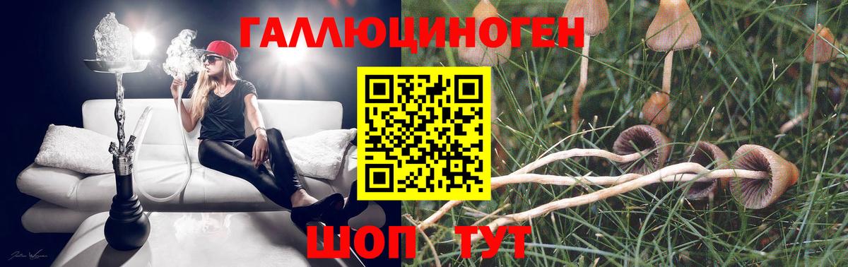 Галлюциногенные грибы мицелий Видное